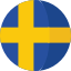 swedish tutoring